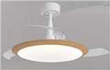 Diamond Big Small Fan lamp