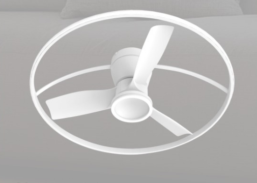 LS Fan lamp