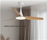 SIMPLE AND FASHIONA Fan lamp